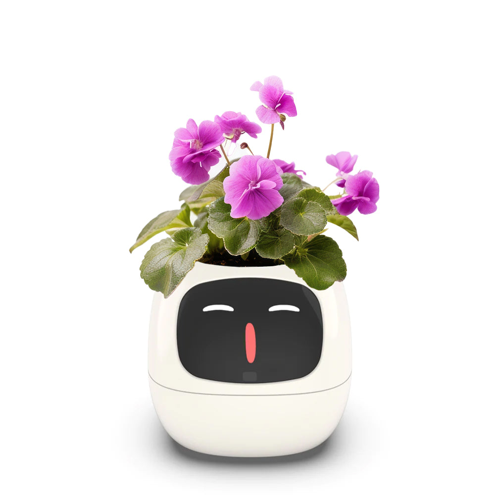 HEF0000003- ECO CHAN Pet planter
